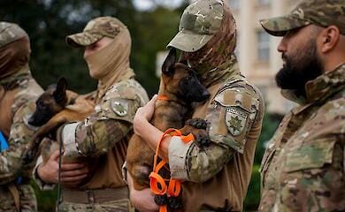 Therapy dogs will be trained in Transcarpathia