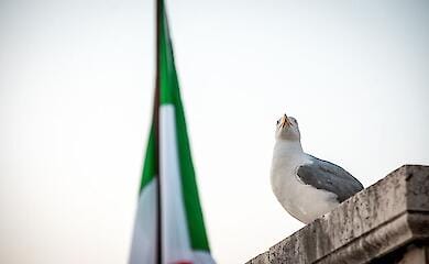 Italy names conditions for halting aid to Ukraine 