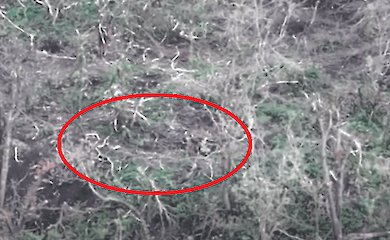 Near Bakhmut, Russian occupiers robbed their dead man (video)