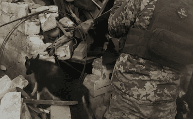 Patrolmen rescued a baby goat at the scene of an enemy strike