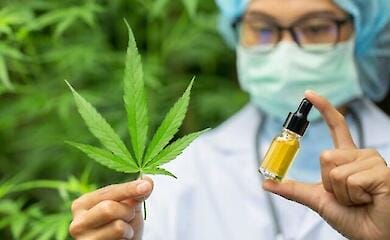 Rada legalised medical cannabis