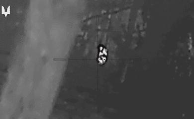 SSO snipers killed enemy scouts: video published