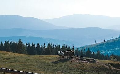 Russian propagandists called residents of a village in Transcarpathia "heroes"