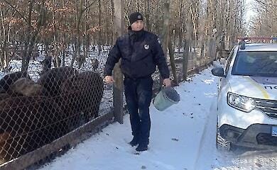 Police officer helps wild animals survive winter in Cherkasy region