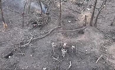 AFU soldiers repelled an attack and captured 11 occupants