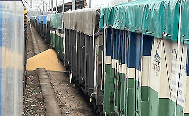 Poland again scattered Ukrainian agro-products at Dorogusk railway station