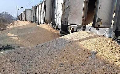 Attackers opened and dumped 10 wagons of Ukrainian corn in Poland