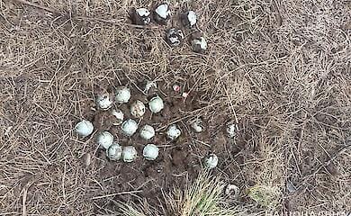 In Sumshchyna, the Russians started using balloon fragmentation aerial bombs