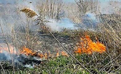 Russian troops dump incendiary mixture on fields to start fires