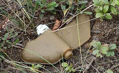 Fisherman blown up by anti-personnel mine in Kharkiv region