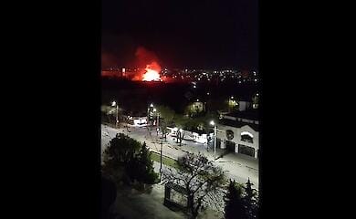 Zoo burned down in Crimea, animals killed