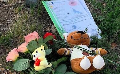 Russian Federation has killed more than 800 children in Ukraine since 2014