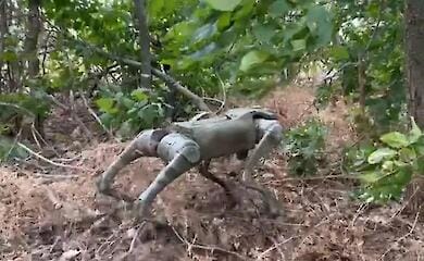 The AFU is using more than 30 BAD.2 robot dogs in Donbas