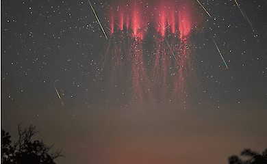 A photographer captured a rare lightning bolt against the backdrop of the Perseid meteor shower (PHOTO)