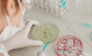 Scientists told where the epicentre of the coronavirus spread was located 