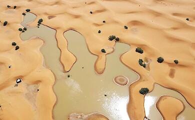 The Sahara flooded for the first time in half a century