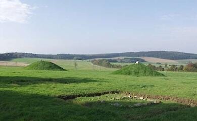 The Celto-Roman cemetery of Vederath-Belginum