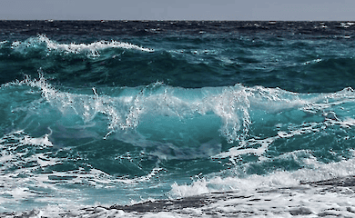 New research: Marine reserves are key to a healthy planet and people