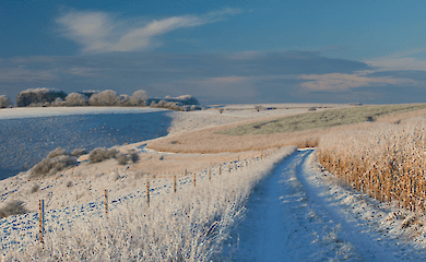 How to overcome seasonal affective disorder: tips and treatment