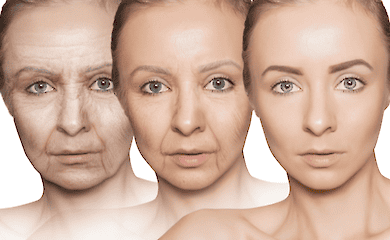 Immunoglobulins are a new key to unravelling the body's ageing process