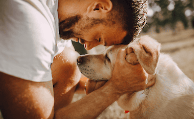 Scientists have proven that the hearts of dogs and their owners beat in unison
