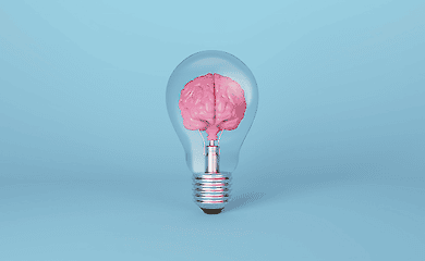 How to recognise brain ageing: 20-year study reveals key factors