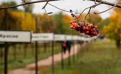 The number of residents in the exclusion zone has been rising sharply since the war began 