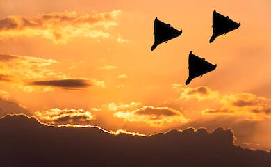 Russia updates record of drones launched: attacked with 188 drones