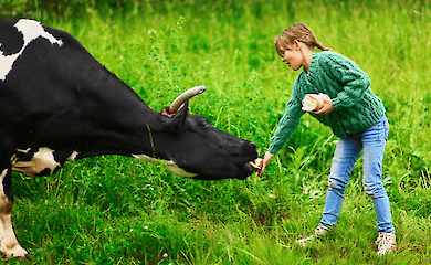 Children growing up on farms with animals are less likely to suffer from allergies, study shows