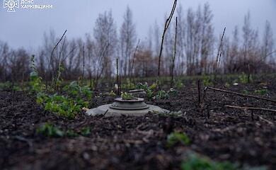 Poland allocates over 600,000 dollars to Ukraine for demining in Ukraine