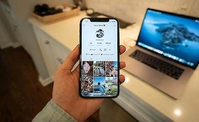 В Европе призывают запретить TikTok, как в США