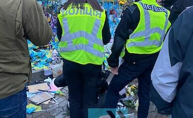 In Kiev, a 33-year-old woman desecrated the Alley of Heroes: video and photos from the scene of events