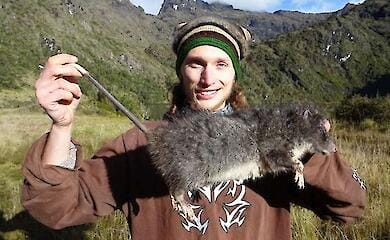A giant rat has been discovered in New Guinea