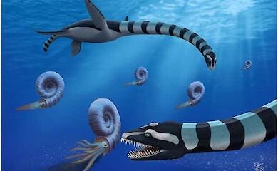 Scientists have named a Canadian marine dinosaur with a long neck and sharp teeth