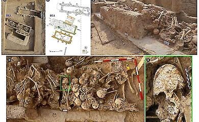 The skull of a girl with an artificially deformed head was discovered in Iran