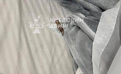 Air defence bullet flew into Kiev resident's bed during Russian Federation night attack: photo