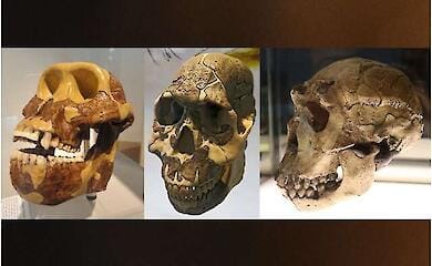 What ancient people ate and how it changed their bodies