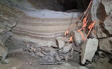 Fossils of 46 species of animals 75,000 years old have been found in Norway