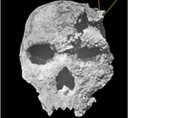 A skull discovered in a Greek cave turns out to be 286,000 years old. Why does that matter?