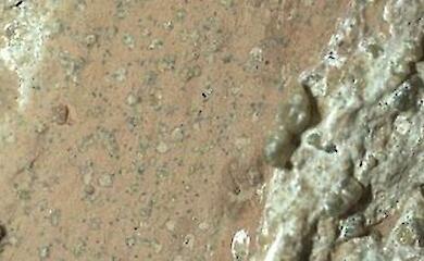 NASA has discovered possible traces of ancient life on Mars