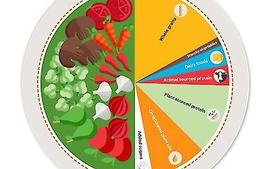 Eat sensibly, live longer: plant-based diet reduces diabetes risk
