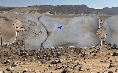 Archaeologists have found a 3,300-year-old ancient Egyptian bone whistle