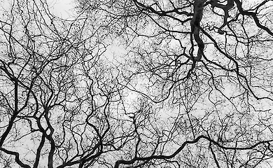 Mortality declines, but young people die more often: global study