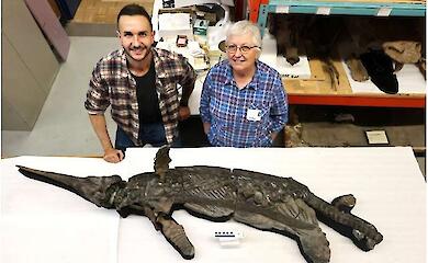 The skeleton of a "sea dragon" has been discovered off the coast of England