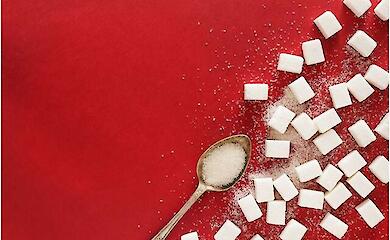 Sugar substitutes helped maintain diet results - European study findings