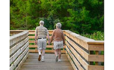 Scientists have found that walking daily can help delay Alzheimer's disease by years
