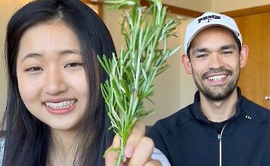 A popular trend turned out to be true - rosemary accelerates wound healing and promotes skin regeneration