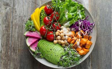 Scientists have found that switching to a plant-based diet reduces CO₂ emissions by 46 per cent and reduces land and water use