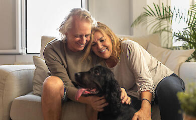 20 minutes with a therapy dog markedly improves the mood of elderly patients