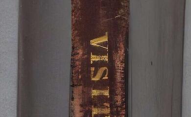 Darwin's address book has revealed new details of his private life